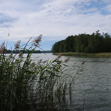 Appartement Am Paelitzsee-1 By Interhome *