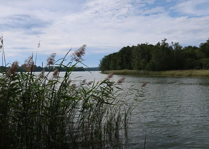 Daire Am Paelitzsee-1 By Interhome *
